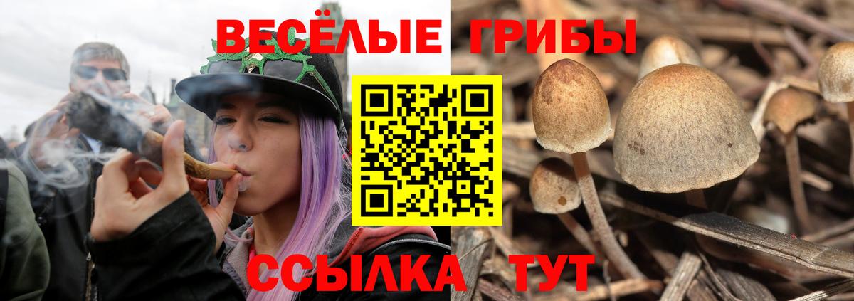 Галлюциногенные грибы GOLDEN TEACHER Губкин